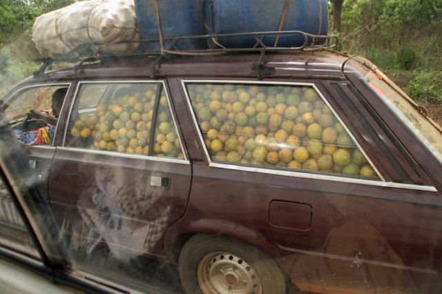 My Aesthetic: Slavs selling oranges from their cars