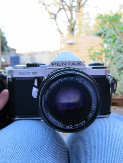 doctorpeppers:  This is one of my babies. I took its picture with another one of my babies. My film baby and my digital baby. I’m done with the word “baby” for about a century, now.