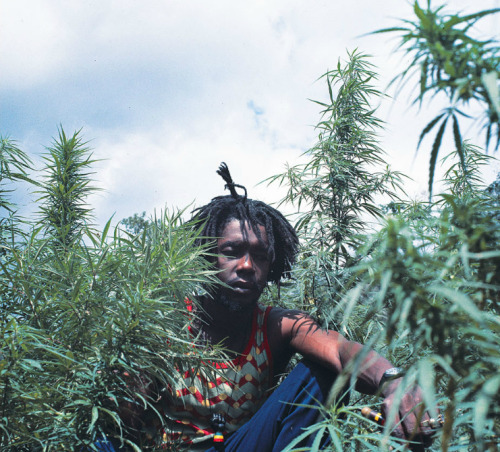 twixnmix:Peter Tosh photographed by Lee Jaffe in St. Ann Parish, Jamaica for his album Legalize It (