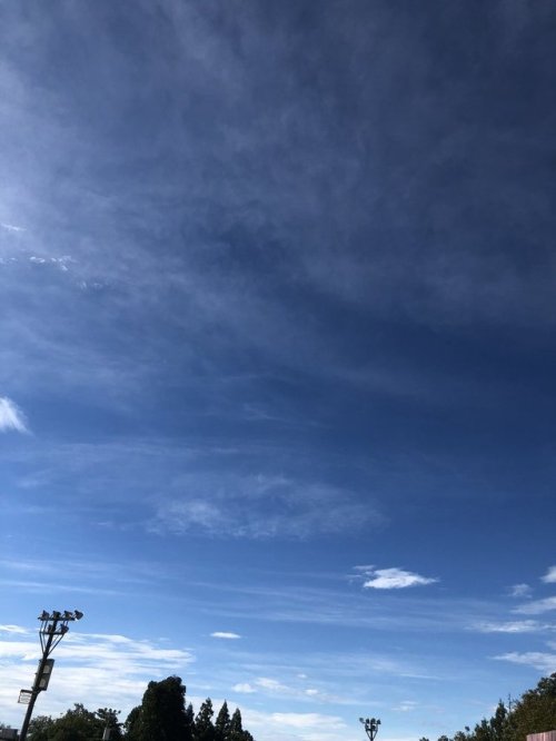 奈良未遥さんのツイート: #長岡米百俵フェス いいお天気すぎる！！！ いらっしゃる皆様 暑さ対策と水分補給しっかりしてくださいね #NGT48 t.co/HpumlTomfW