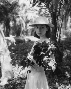 audreyhepburnforever:  Audrey photographed by Leo Fuchs during the filming of ‘The Nun’s Story’ in 1958.