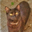 awesomepandacat
