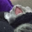 wwwwwffd