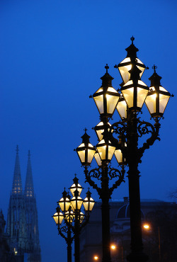 hungariansoul:  bluepueblo:  Street Lamps, Vienna, Austria photo via sophie  ~♥~