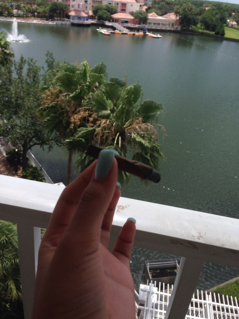 aurariuss:  Missing FL :/