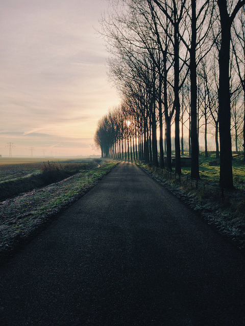 brutalgeneration:  Yesterday morning. by Jeroen Verhulst on Flickr. 