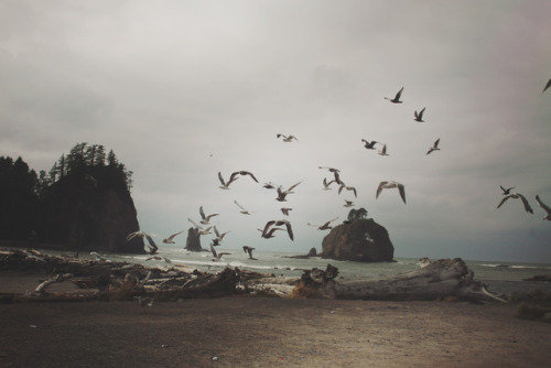 lemographie:First BeachLa Push, WAInstagram | Website