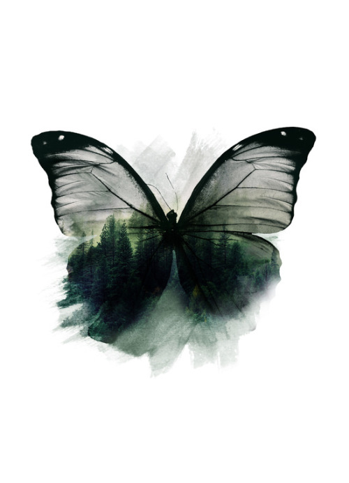 bestof-society6:ART PRINTS BY CAFELAB  Double Butterfly  Bear Brothers  Deer God 