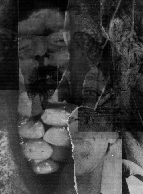 vnutrennosti: untitled