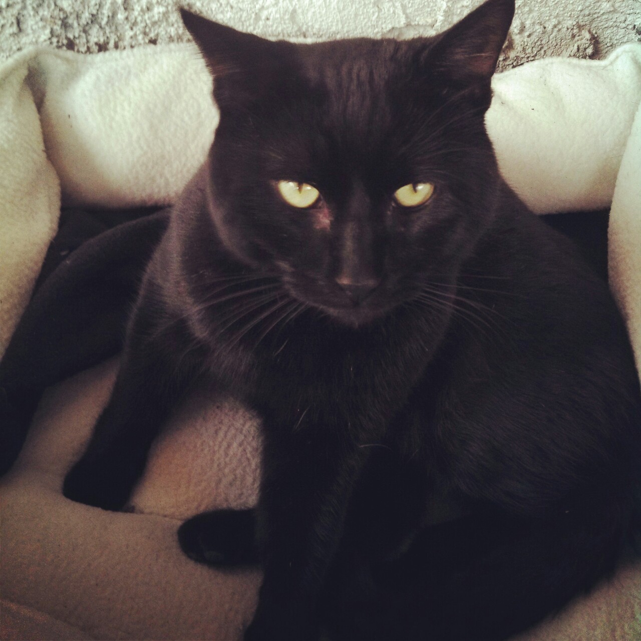 Happy Friday the 13th AND full moon tonight from my Jack and I! (: