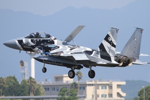 rocketumbl:  F-15DJ 