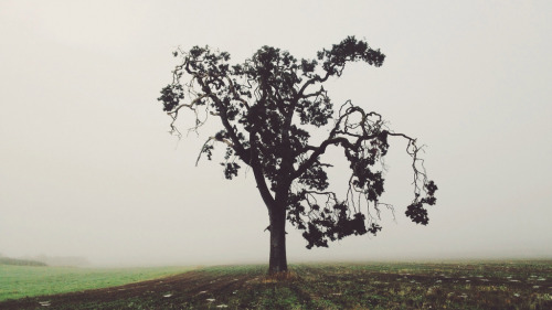 mystic-revelations:  Untitled By Tyler Forest-Hauser 
