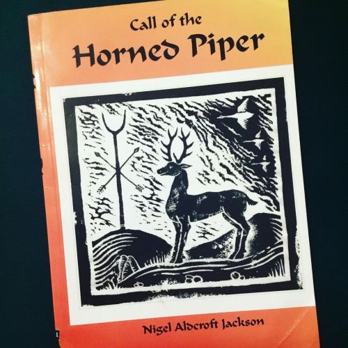 This is one of my favorite books on traditional witchcraft. It was published by a small independent 