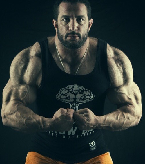 worshipalphamales: pjsesq:  Mojtaba Notarki What a hairy ape. Holy Christ.   FUCK. ME. 