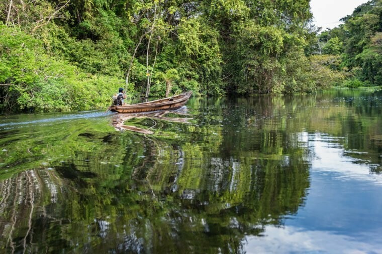 Alla scoperta dell'l'Amazzonia peruviana con Jungle Experiences