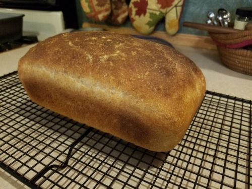 Bread!I’m sure I made some mistakes and my oven’s temp is still a bit fiddly but it turn