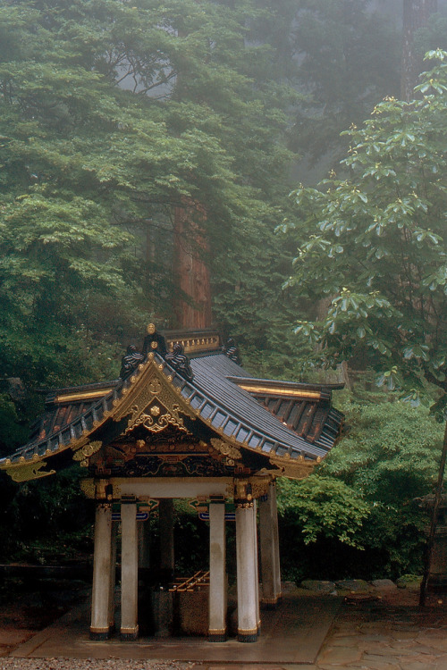 Shinto hand cleaning station at Nikkō Tōshō-gū By : Miguel Vieira(Do not remove credits)