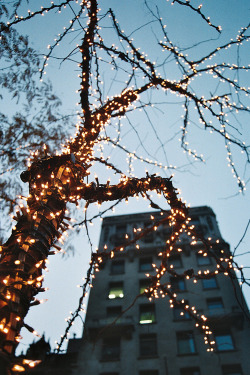 plasmatics-life:  Wonderful Night - {by Lori