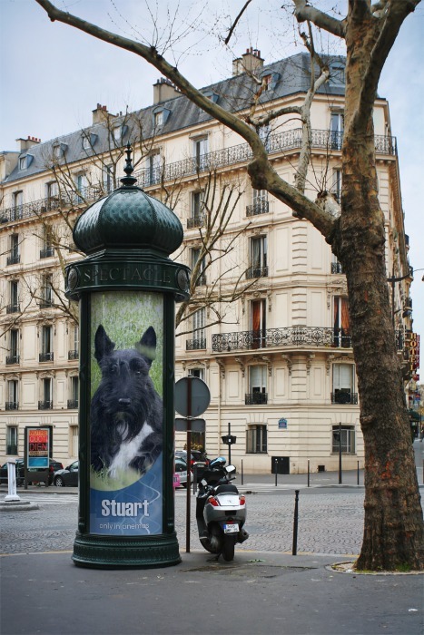 Where In The World?
Let’s travel today to where it all began. Oui? Oui. Let’s do. Oh me. If I were only there in real life today…I’d bring my peeps back some Pain de Campagne.