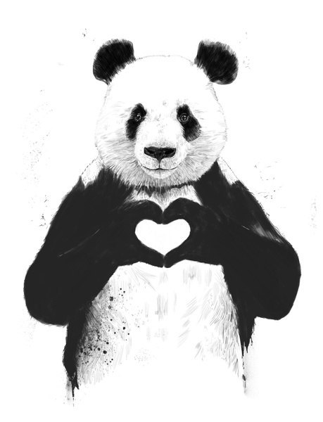 the-real-eye-to-see:  Do not mess with panda