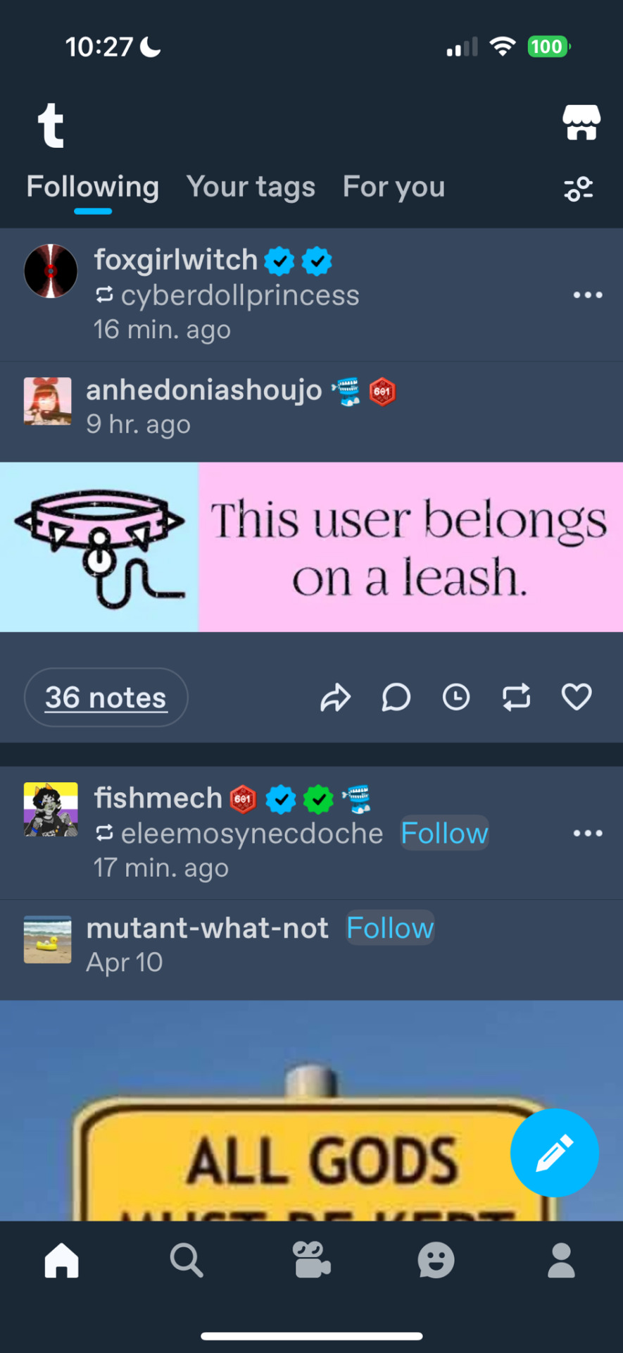 Tumblr media