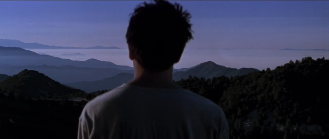 qnarl-y:  Donnie Darko.