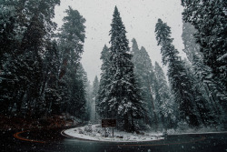 jasonincalifornia:Winter Wonderland Dreaming - Sequoia National ParkSociety6/Prints