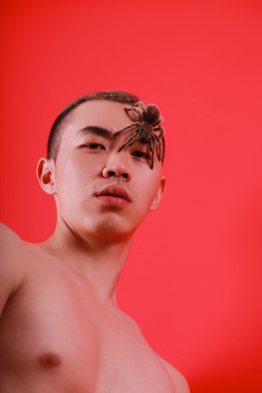 cgubcffukogdee:  狼蛛🕷️