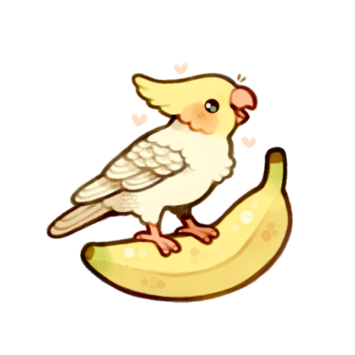spicymochi:banana cockatiel