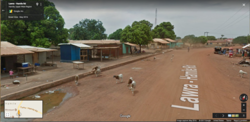 Hamile, Ghana I&rsquo;m about 50% sure some of these are sheep.