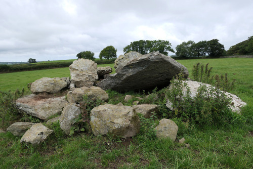 Hendrefor Burial Chambers, nr. Pentraeth, Anglesey, North Wales, 14.8.18.This is the second time I h