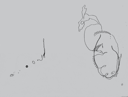 askfordoodles:littlelimpstiff14u2:  ´∑œ®^)$! Volvulent  I love how at first glan