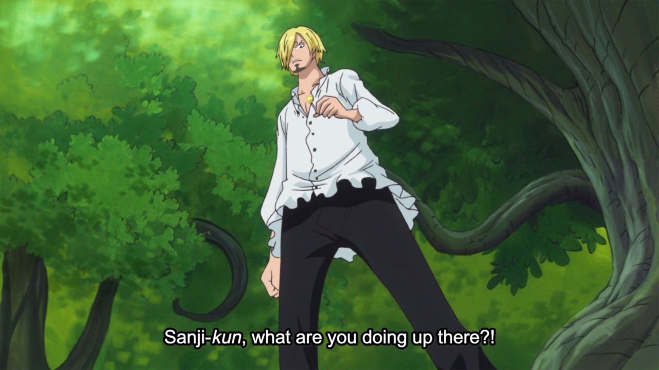 One Piece 791 Explore Tumblr Posts And Blogs Tumgir One Piece 791 Explore Tumblr Posts And Blogs Tumgir
