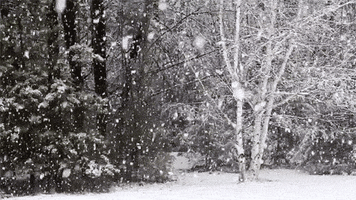 the-daring-submissive:  Can’t wait for snow..  I want to play with Daddy in the