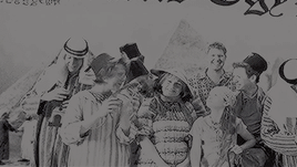 zhirleyruiop:My father told me all the Weasleys have red hair, freckles, and more children than they