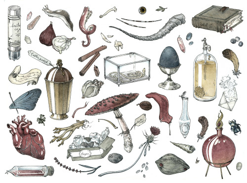 A smattering of potions ingredients, inspired by the spells and potions of Harry Potter. 