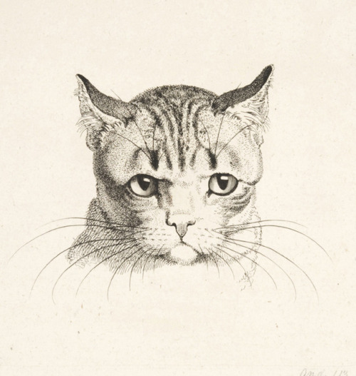 Johann Heinrich Wilhelm Tischbein, Plates from: Têtes de Différents Animaux dessinées d'après nature