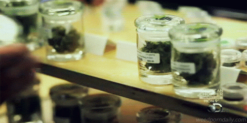 weedporndaily:  State approves Boston’s first medical marijuana dispensary (BostonGlobe)