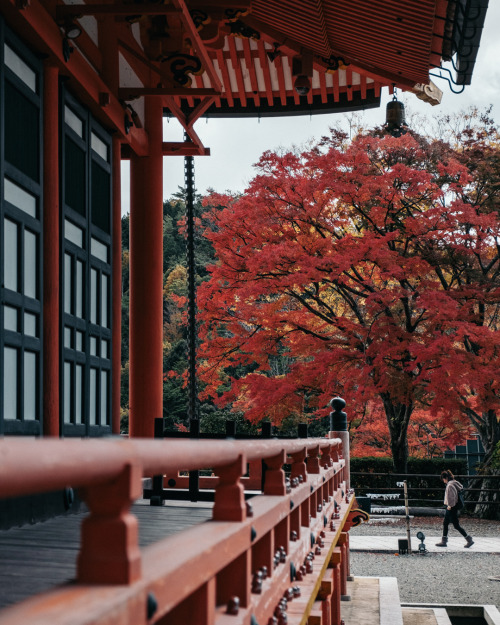 yas-hit: Autumn Katsuo-ji temple2019.11.21