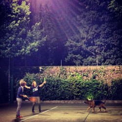 pondinapark:  late night tennis with dog