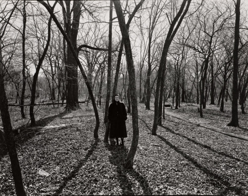 Eleanor, Chicago, Photo by Harry Callahan, c. 1952