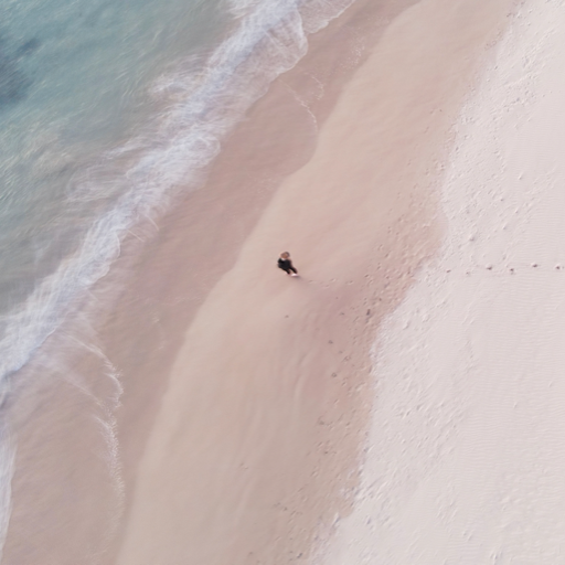 cissaking:Two baby Australian Sea Lions in Baird Bay, Australia.Follow me on Instagram.