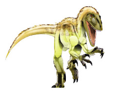 a-dinosaur-a-day:  Achillobator(ah-KILL-oh-bate-ore) where: Plains of Central Asia when: Late Cretaceous Period, about 95 to 85 million years ago who: Described and named by a team that consisted of Mongolian paleontologist Antangerel Perle and Americans