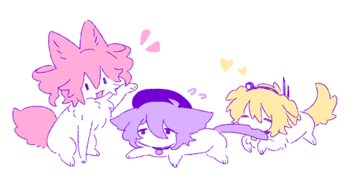 Fox Kitty Puppy Tetodeforei