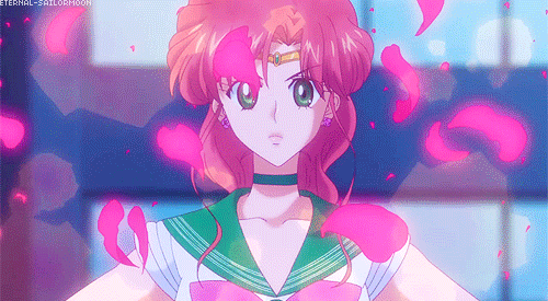 eternal-sailormoon:  Flower Hurricane! 