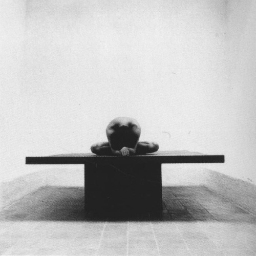 structuredenoir: Robert Häusser, Wing
