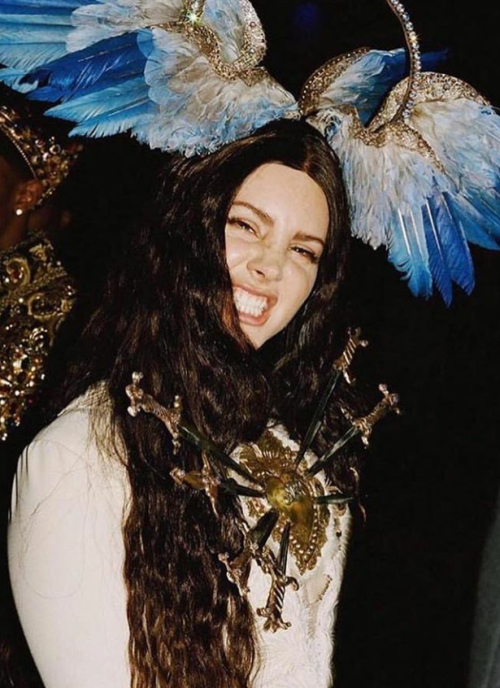 goddess-of-saigon: Lana Del Rey attends the Met Gala in New York City. May 7th, 2018.