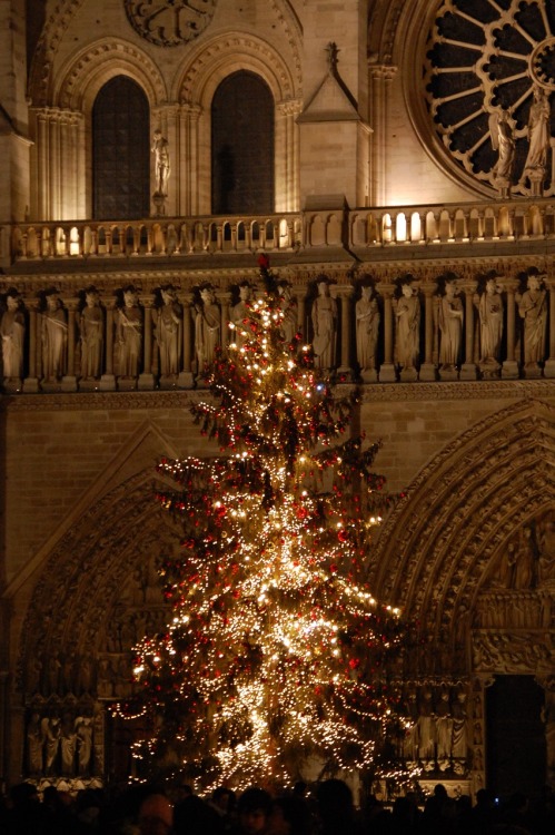 The fire that devastated Paris’s twelfth-century cathedral, Notre-Dame, earlier this year has 