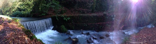 eartheld:  mostly nature