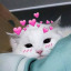 sooyoungiovebot